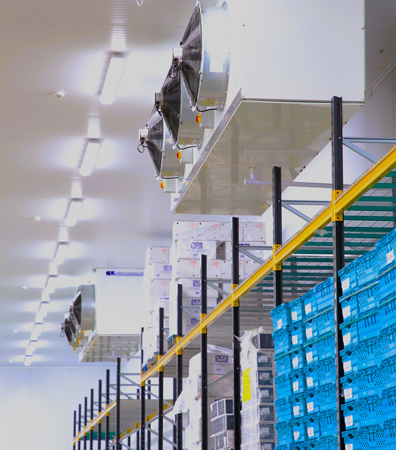 Production & Distribution