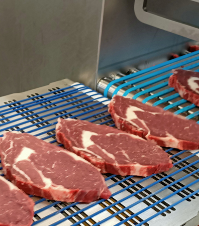 Meat Processing & Storage