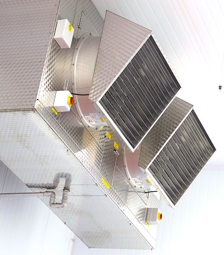 Production & Distribution